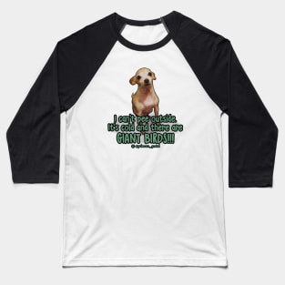 I Can't Pee Outside Baseball T-Shirt